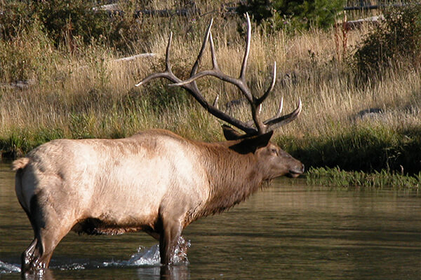 Hunting in Langlade County