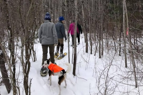 Shoeshoeing Langlade